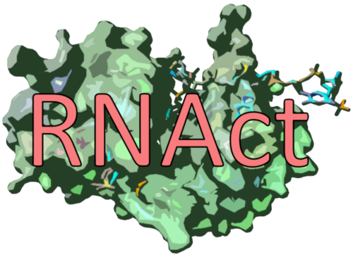 RNAct logo