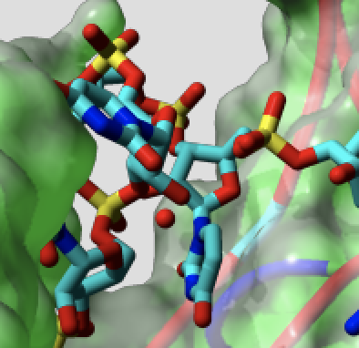 ESR 4: Protein-RNA docking