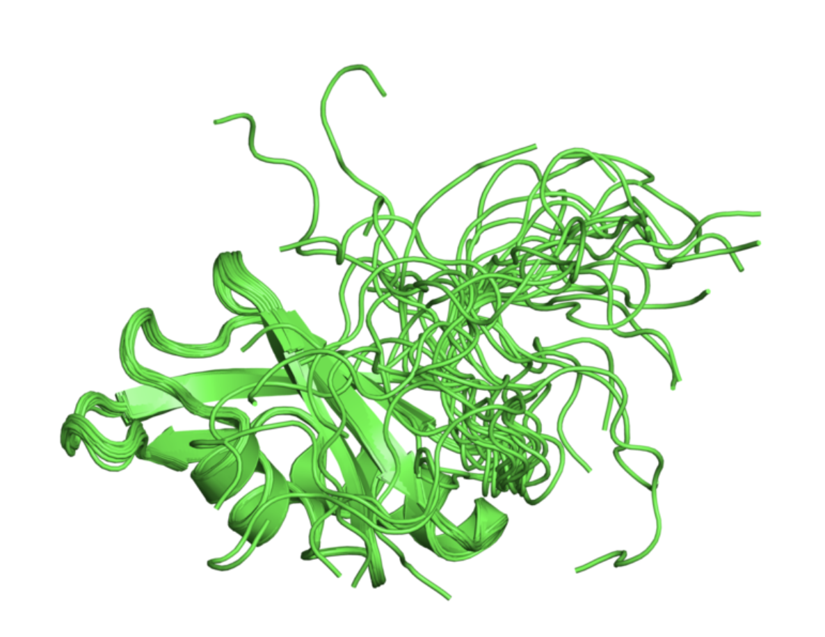 ESR 2: Protein structure representation